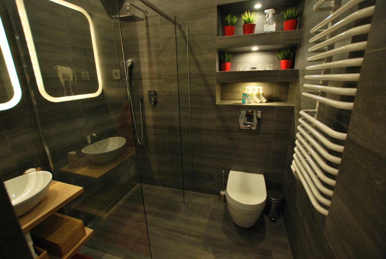 Swidnicka Apartment-city Centre Apartment *